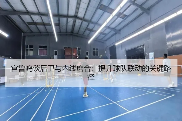 宫鲁鸣谈后卫与内线磨合：提升球队联动的关键路径（YIBOSPORTS）
